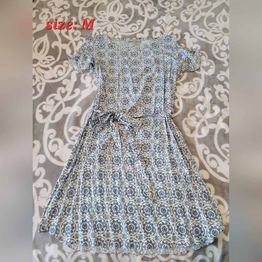 Floral Blue and White Dress